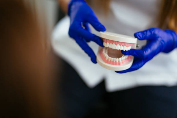 Reliable Vineyard, CA Holistic Dental Care Services Solutions